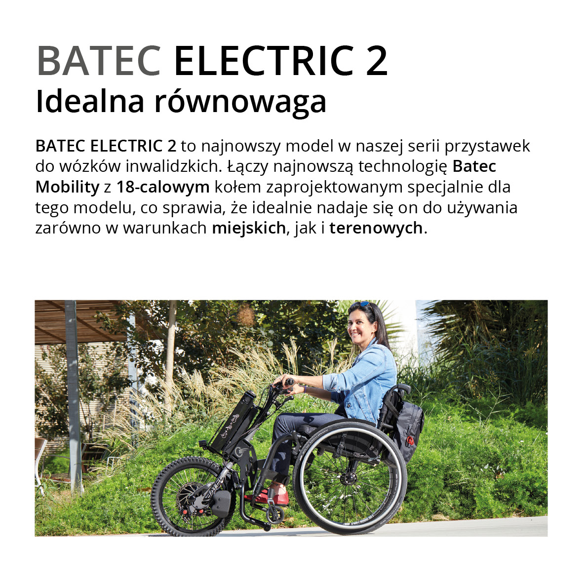 batec electric4
