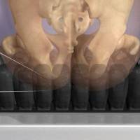 article96_image7_original