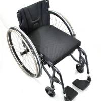 Panthera_S3_swing_0_bird_1250_original